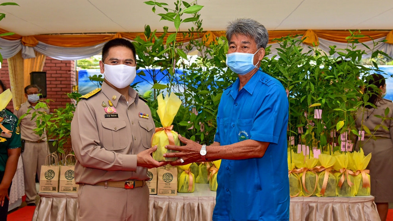 กุศโลบาย ทส.ดึง 10 ไม้มงคล เข้าพิธีพุทธาภิเษก "แผนอนุรักษ์ป่า" พฤกษามหามงคล