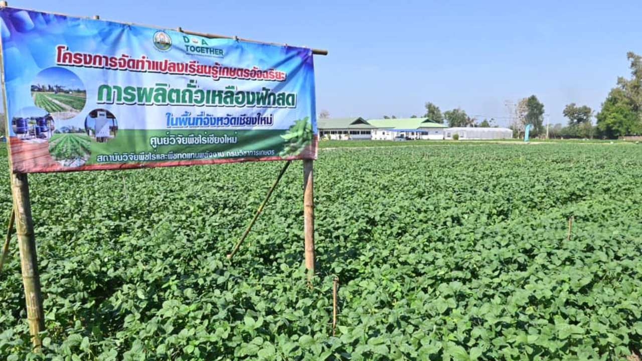 กรมวิชาการเกษตร จัดงานถ่ายทอดเทคโนโลยีเกษตรอัจฉริยะ ผลิตถั่วเหลืองฝักสด