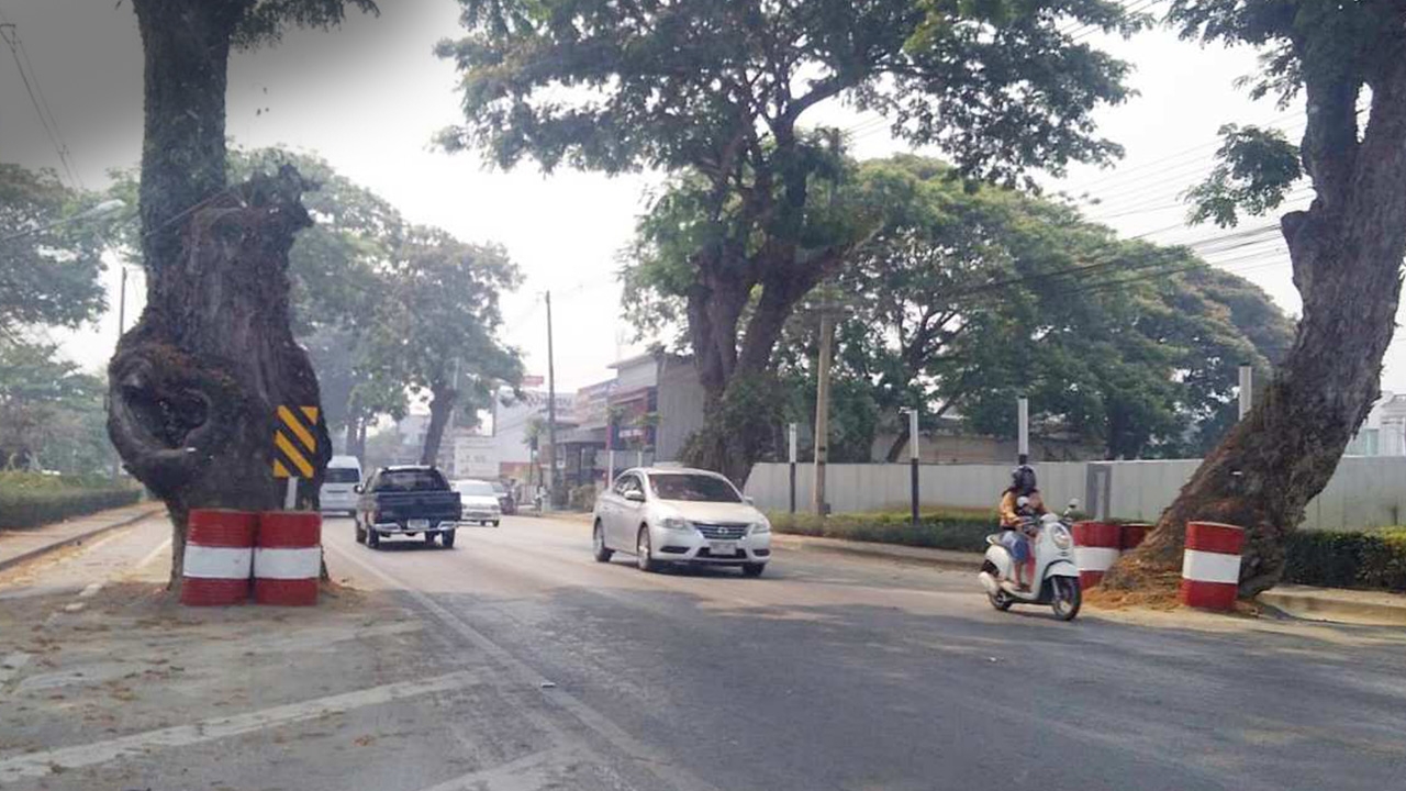 หมวดทางหลวงสันกำแพงปรับปรุงถนนสายเชียงใหม่-สันกำแพง ลดอุบัติเหตุรถชนต้นไม้