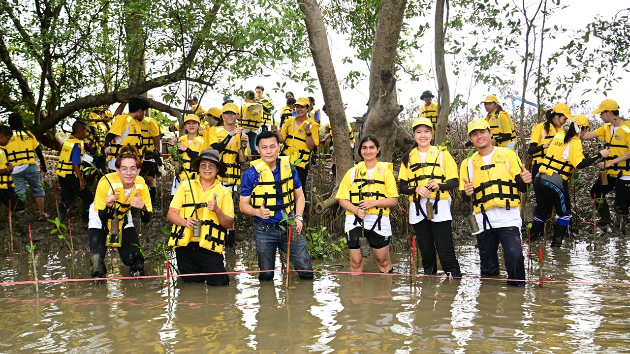 สถาบันวิทยาศาสตร์ทางทะเล ม.บูรพา และเครือข่ายสิงห์อาสา เติมความสมบูรณ์รักษาป่าชายเลนตะวันออก