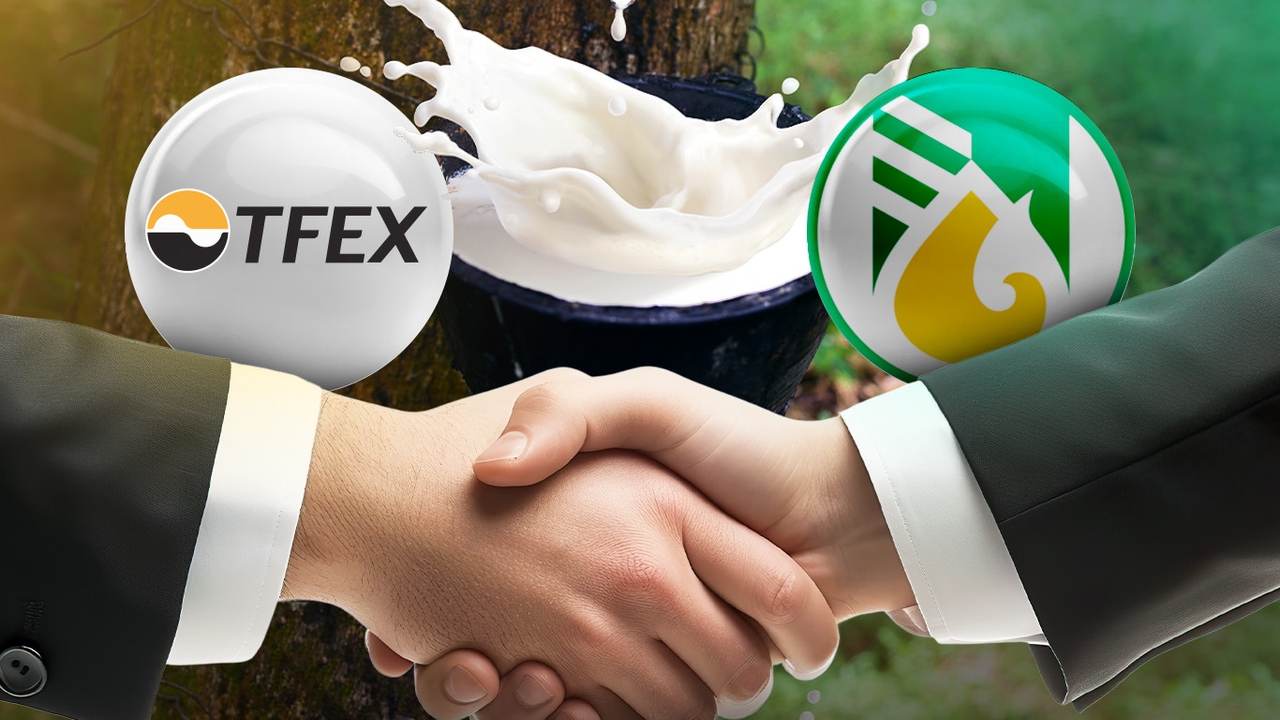 พลิกโฉมตลาดยางพารา TFEX จับมือ กยท. ผุดโปรเจกต์ คำนวณราคากลางใหม่ ให้สมกับเบอร์ 1 ผู้ส่งออกโลก