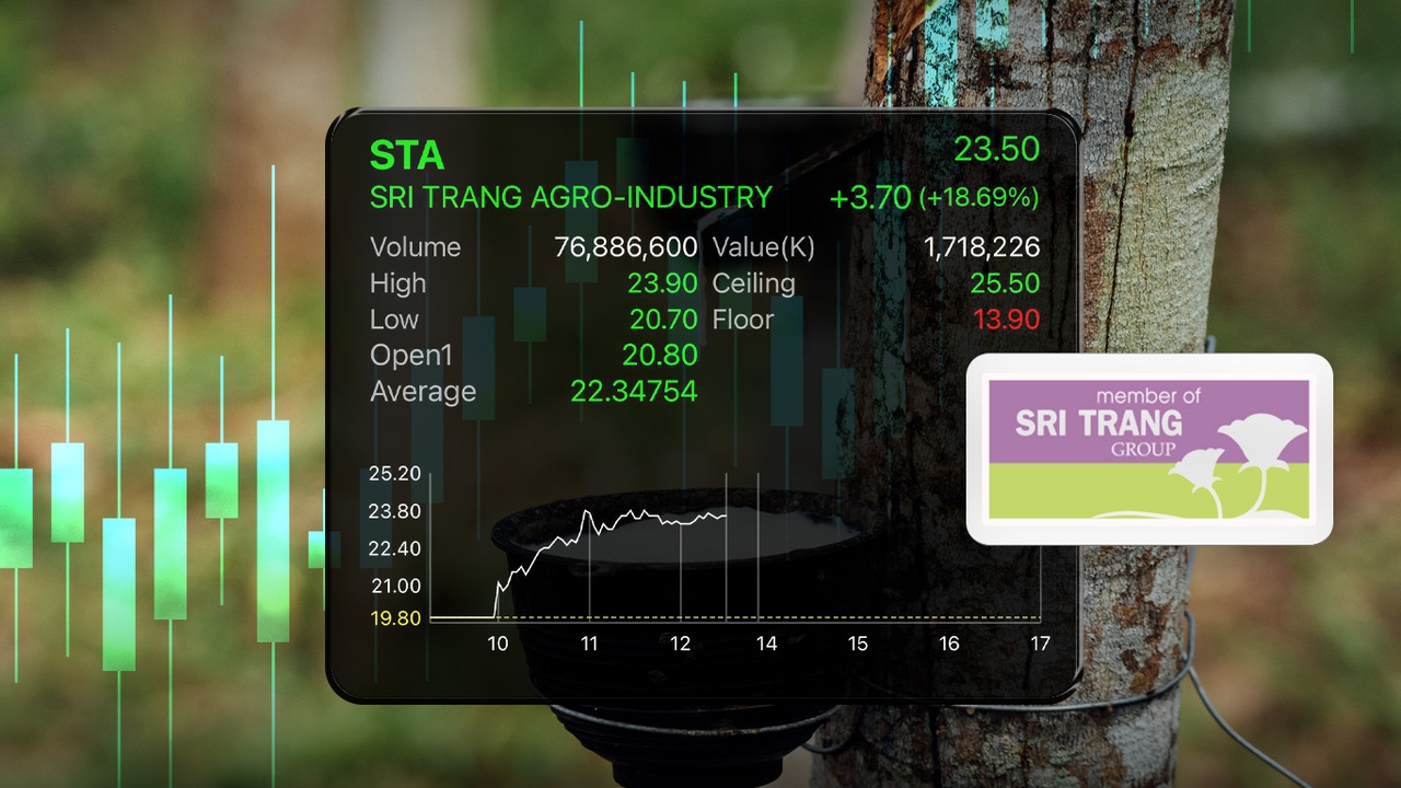 STA หุ้นยางพารา วิ่งทะลุ 18% EUDR กฎหมายป้องกันตัดไม้ยุโรป ดันราคายางขึ้น ลุ้นปีนี้พลิกกำไร