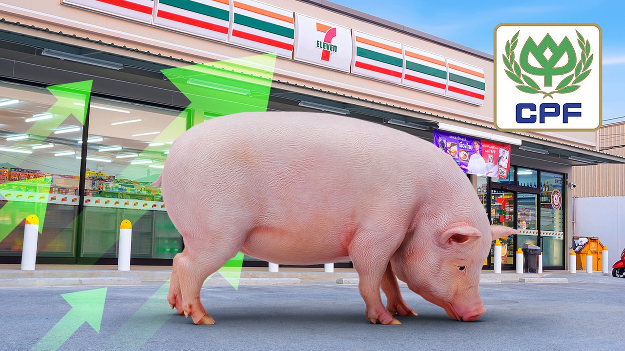 CPF กำไรแล้ว! กวาด 1.15 พันล้าน โต 142% หมูจีนฟื้น-เซเว่นหนุน