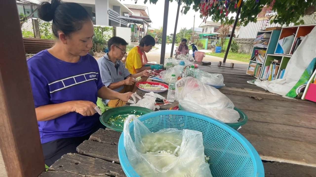 "วันแม่" ทำดอกมะลิแพง เกษตรกร หันปลูกดอกพุดส่งพ่อค้า สร้างรายได้งาม