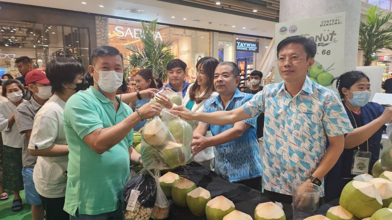 สมุทรสาคร พามะพร้าวน้ำหอมบ้านแพ้ว GI ขึ้นห้าง โปรโมตเพิ่มช่องทางขายให้ชาวสวน