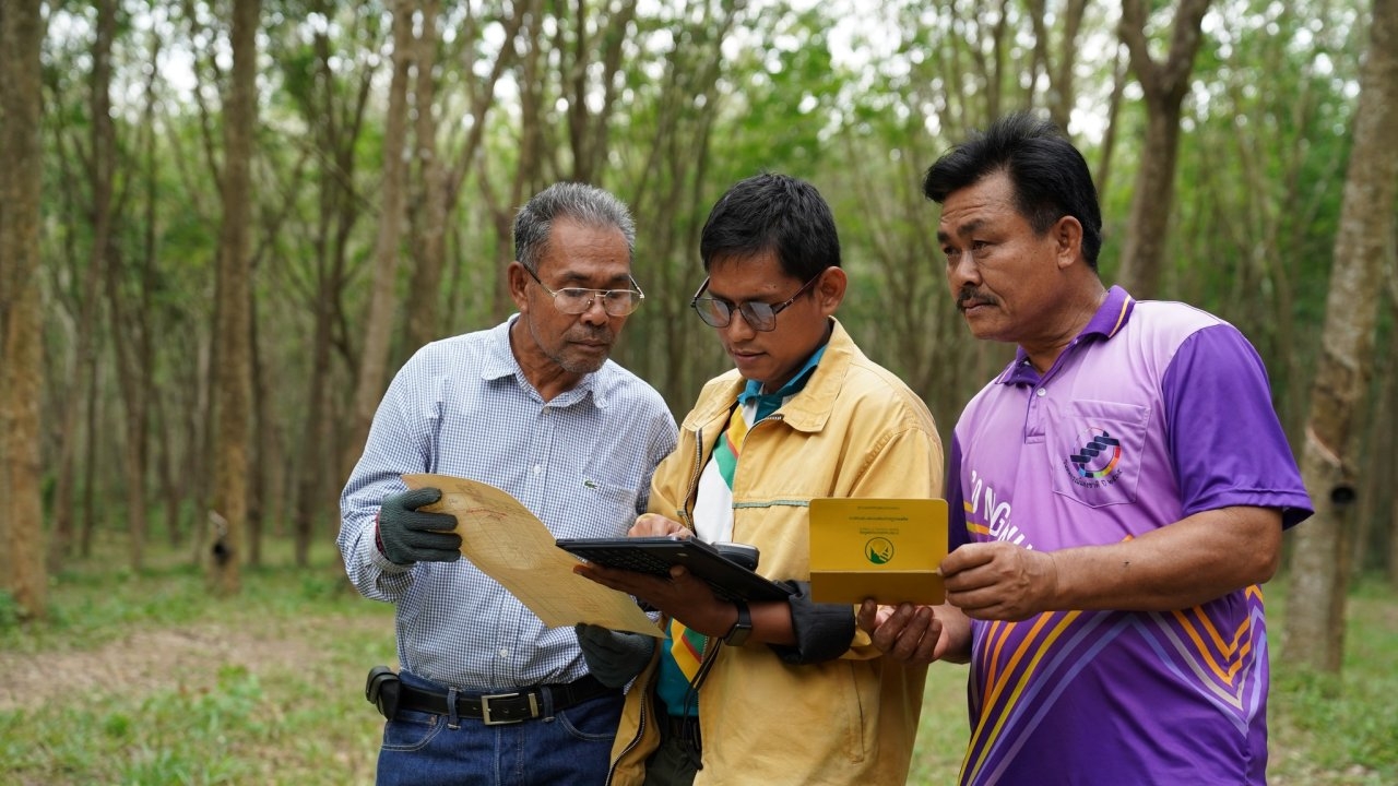 กยท.โดดสู่ดิจิทัลเปิดแอปฯ RAOT GIS ชี้พิกัดแปลง-เชื่อมโยงสวนยางพาราทั่วไทย