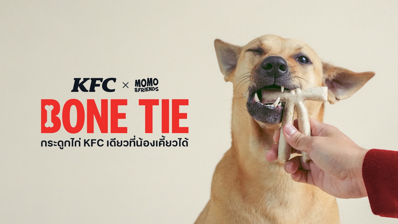 วันมะหมาโลก KFC ชวนเปลี่ยนมาให้ KFC BONE TIE กระดูกไก่ KFC เดียวที่น้องเคี้ยวได้ ครั้งแรกของโลก!