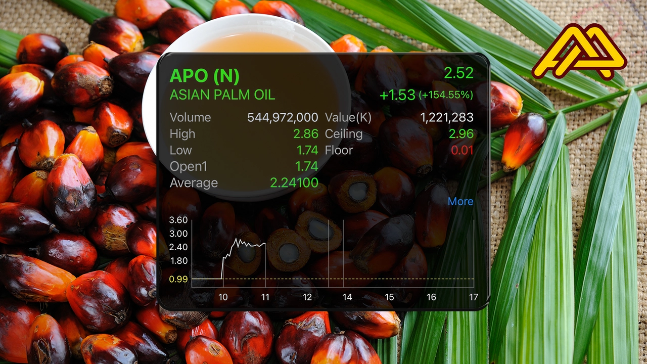 APO หุ้นน้ำมันปาล์ม ฟอร์มระเบิด พุ่งเหนือจอง 75.76%