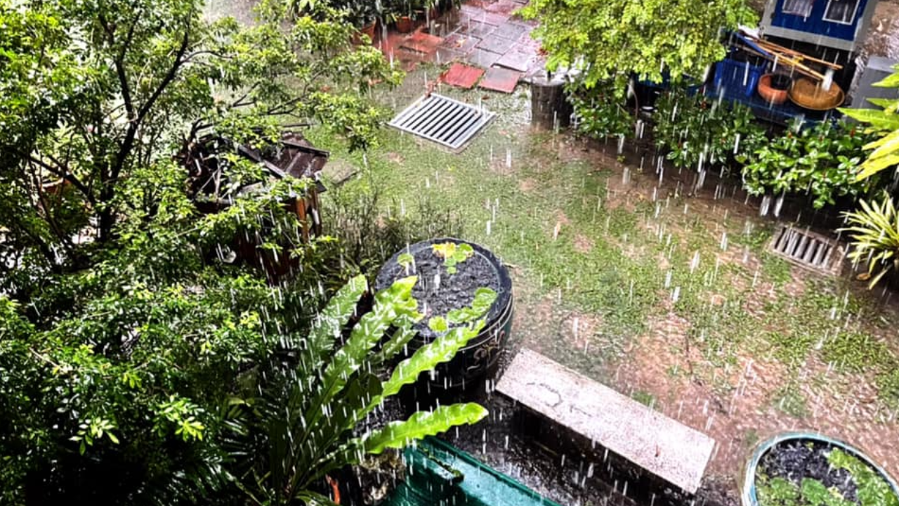 อ.ธรณ์ ไขข้อสงสัย ทำไมฝนตกเม็ดใหญ่ขึ้น-น้ำท่วม จากภาวะโลกร้อน