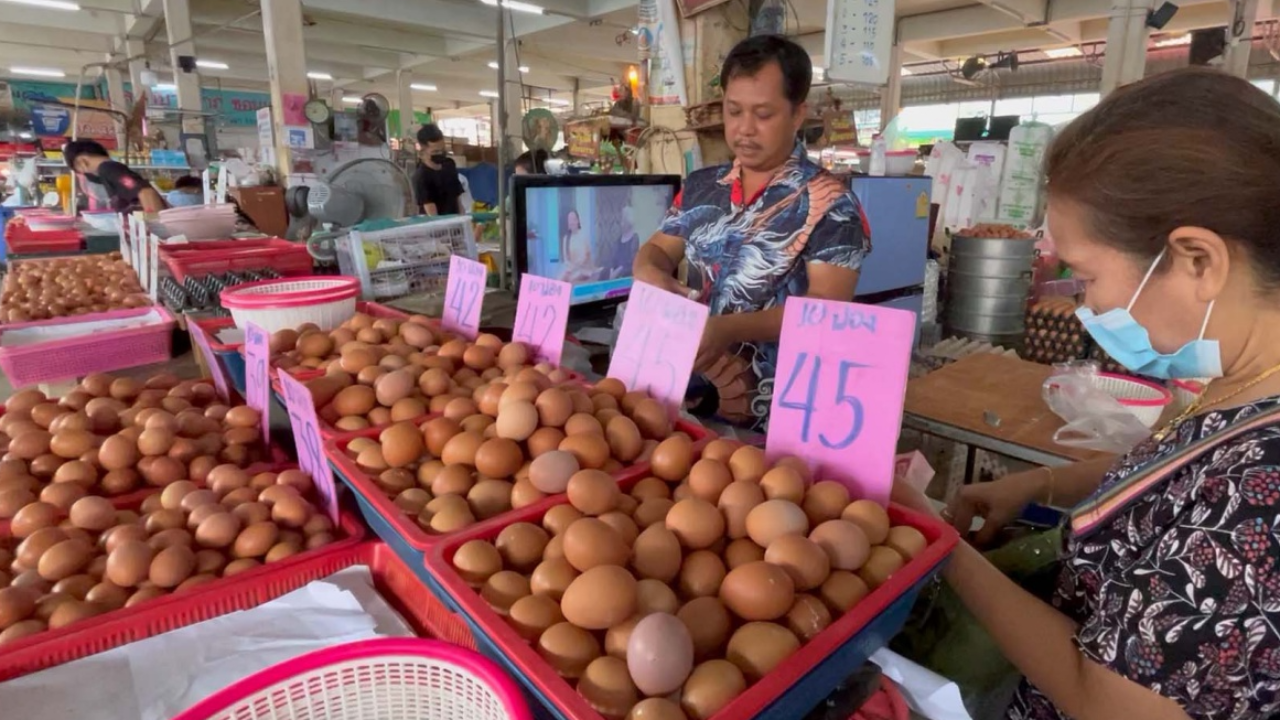 ไข่ขึ้นอีกฟองละ 10 สตางค์ ชี้เหตุอาหารสัตว์แพง แรงงานขาดแคลน 