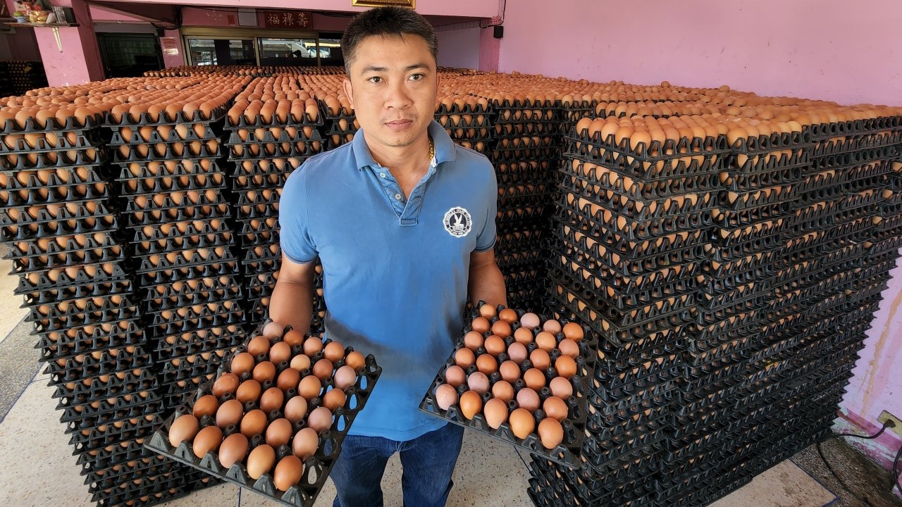 ผู้ค้าไข่ไก่แจงราคาถูกเพราะผลผลิตเยอะ สวนกำลังซื้อผู้บริโภค จึงต้องลดราคา