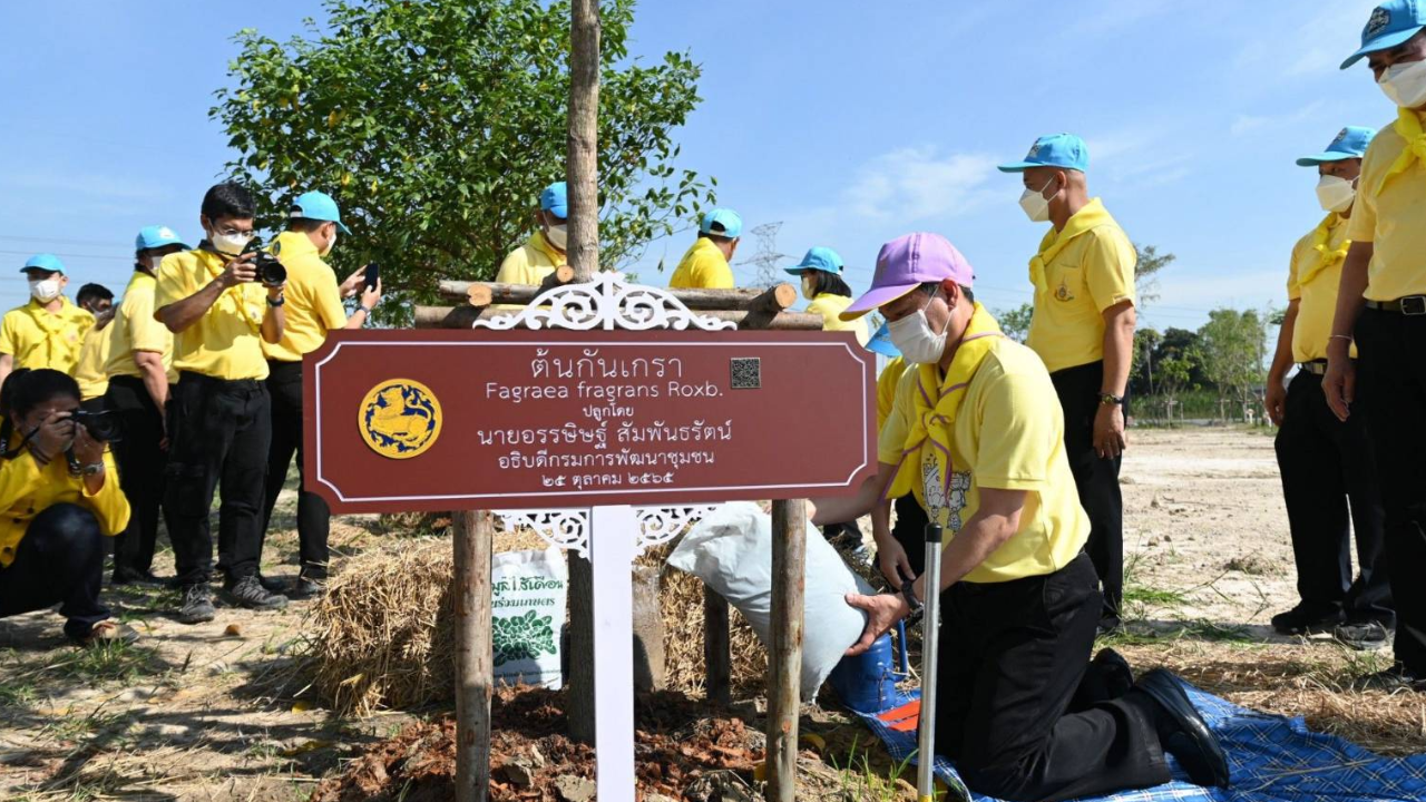 พช.ปลูกต้นไม้เพื่อชาติ ถวายวันคล้ายวันพระราชสมภพสมเด็จพระศรีนครินทราบรมราชชนนี