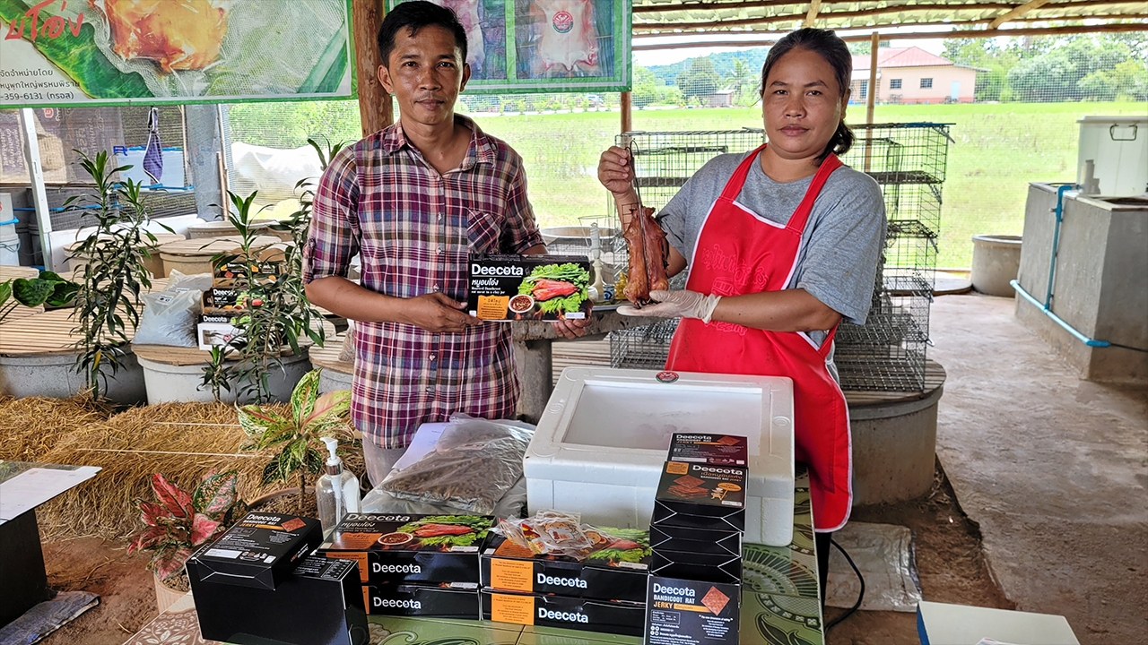 แปรรูปหนูพุกใหญ่ส่งขายทั่วไทย