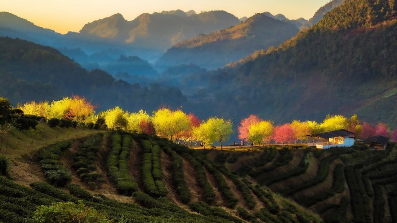 Behind the Lens เบื้องหลังภาพสวย..ท่องเที่ยวไทย