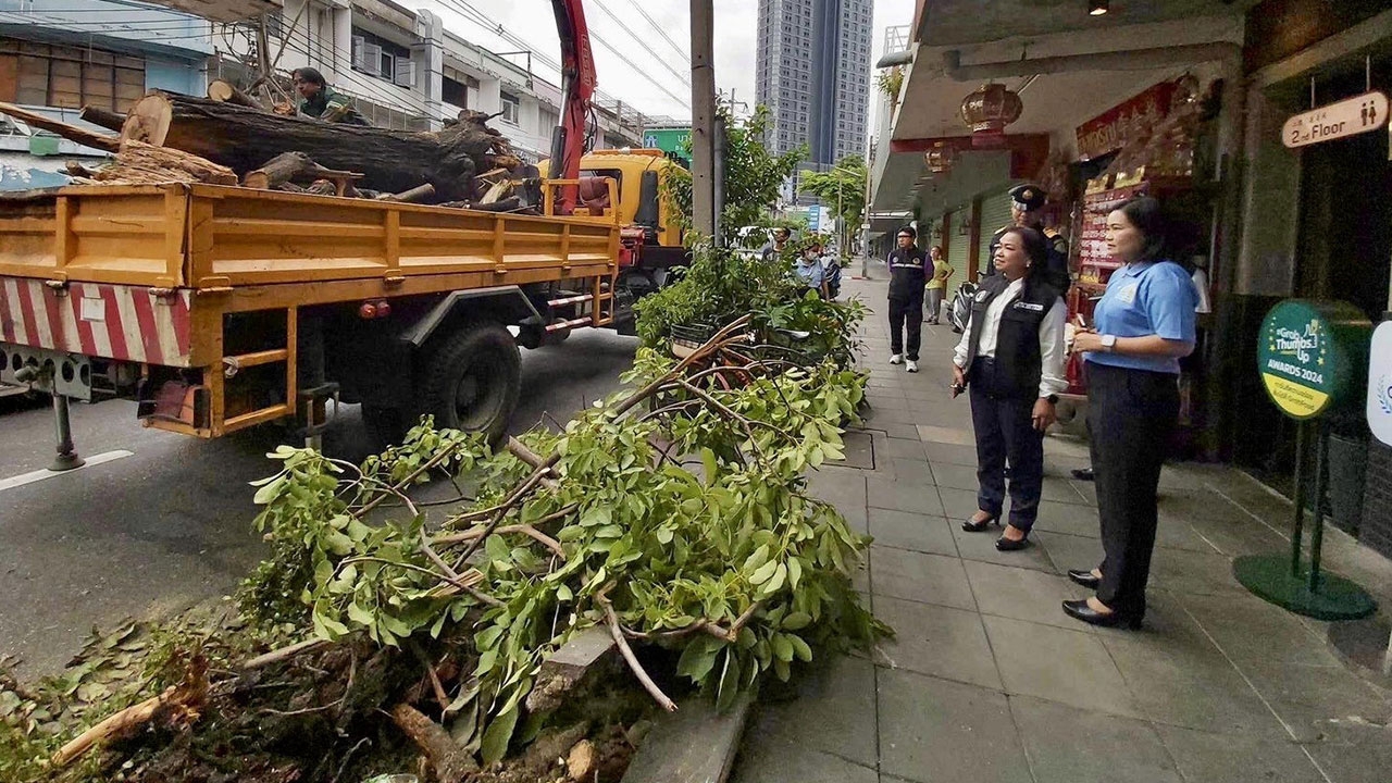 ล้อมคอกไม้ล้มฟู้ดสตรีทดัง ปทุมวันสแกนต้นไม้ริม “บรรทัดทอง” กันซ้ำรอย