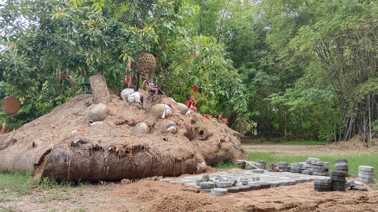 ร้องตรวจสอบ “ลัทธิประหลาด” สำนักสงฆ์ฝึกเด็ก-ผู้ปฏิบัติธรรมเรียนหูทิพย์-ตาทิพย์