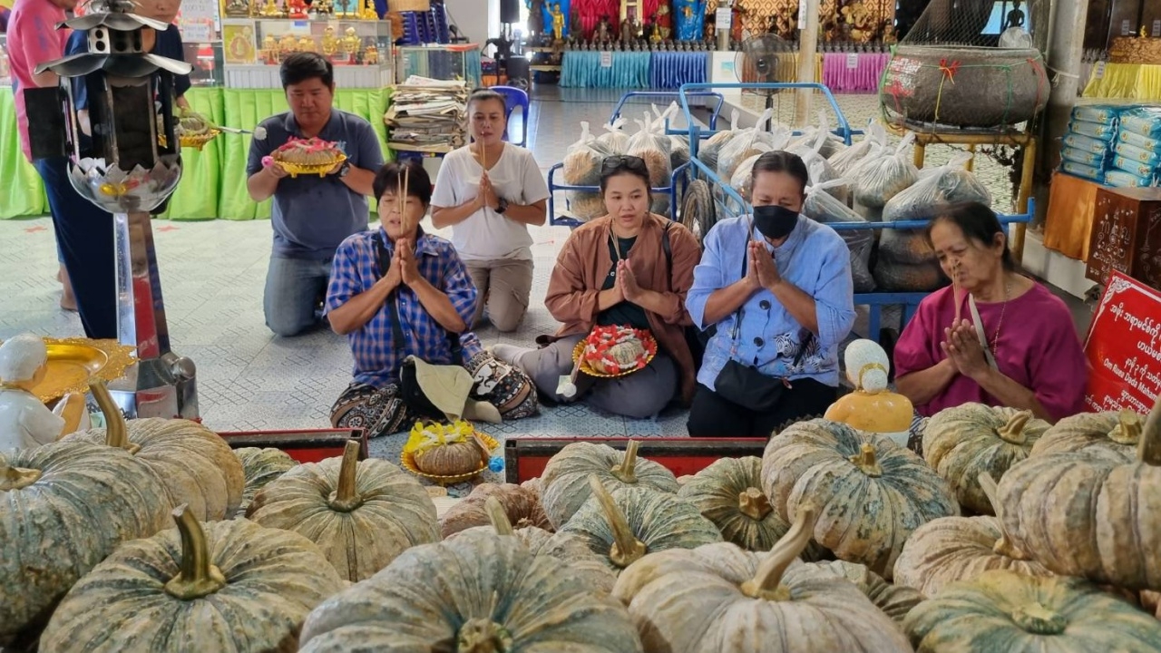 สาวหอบฟักทองแก้บน "ปู่ฤๅษีพรหมเมศ" หลังประมูลโครงการก่อสร้าง 30 ล้านสำเร็จ