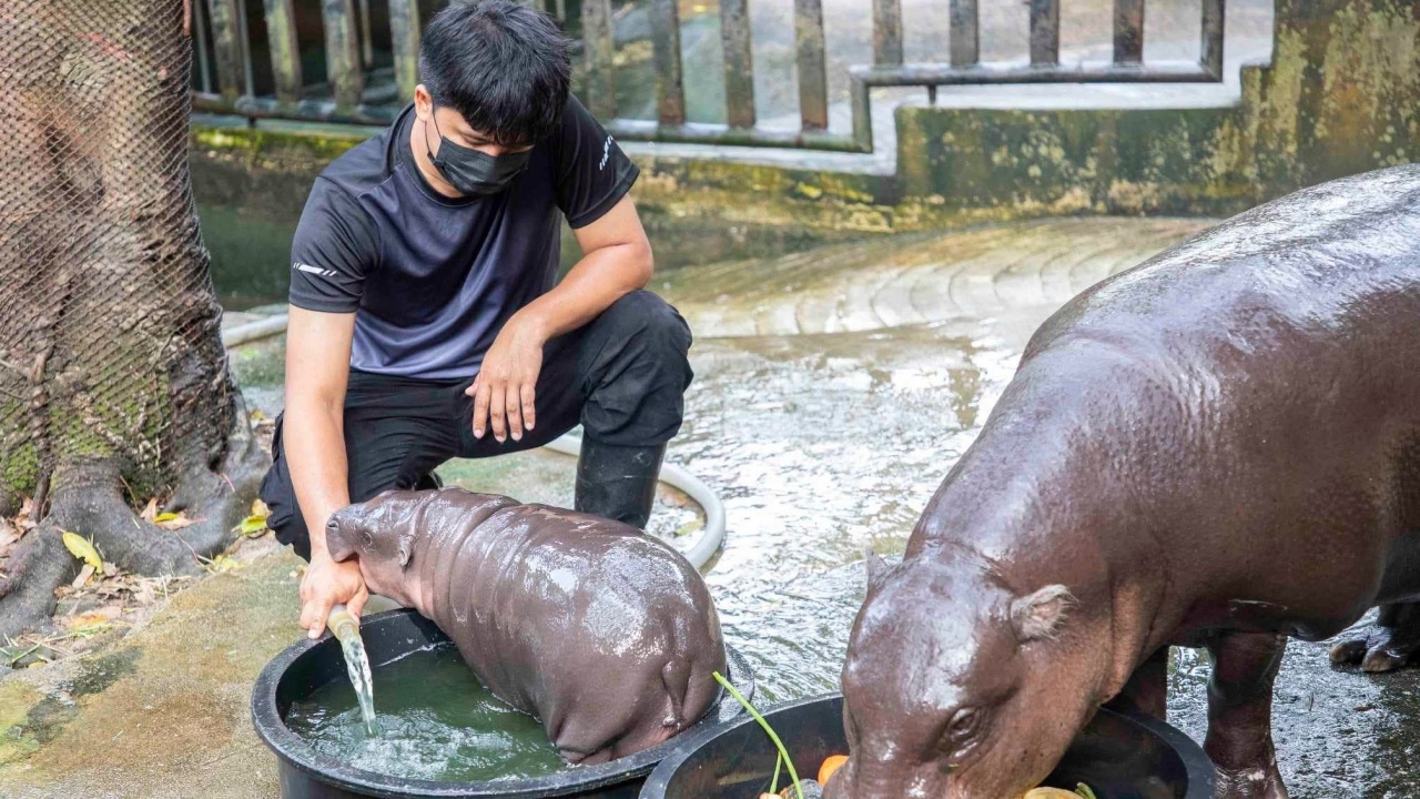 "พ่อเบนซ์" พี่เลี้ยงน้อง "หมูเด้ง" โพสต์ข้อความหลังมีคนล้ำเส้นเรื่องส่วนตัว