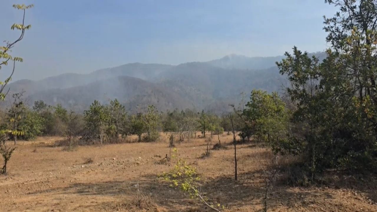 ลามเสียหายกว่า 200 ไร่ ไฟป่าเขต "วนอุทยานเขาหลวง" จนท. เร่งดับไฟ-ทำแนวป้องกัน